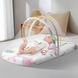 Bed with Mosquito Net