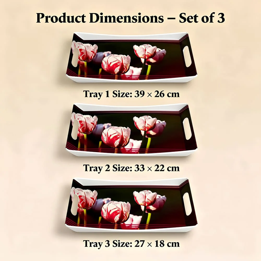 UPC Tray Set of 3