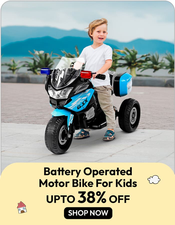 Electric Motor Bike