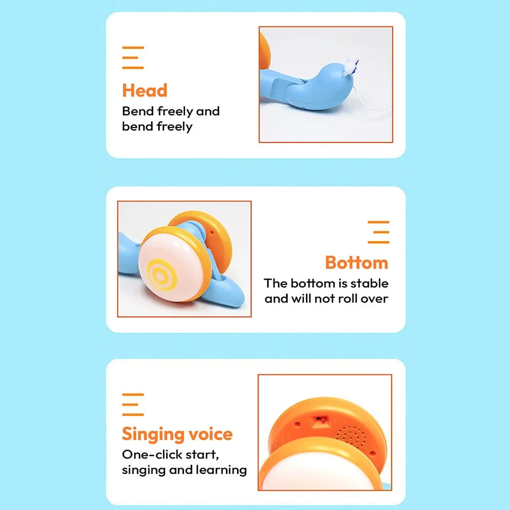Pull Along Snail